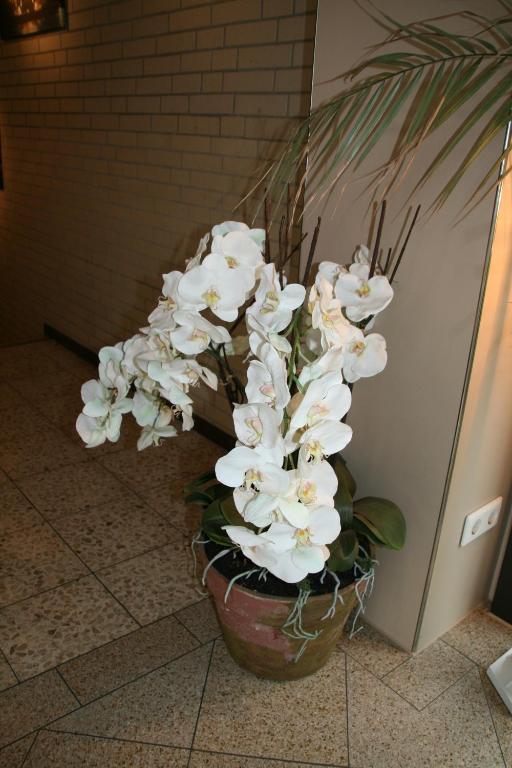 Albertus Paris Aparthotel Hamburgo Quarto foto
